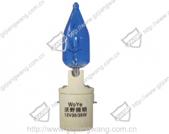 Motorcycle Bulb BA20D 12V35W